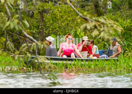 Touristen Angeln legendären Piranha fischen im ecuadorianischen Amazonas primäre Dschungel Stockfoto