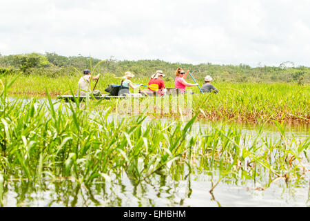 Touristen Angeln legendären Piranha fischen im ecuadorianischen Amazonas primäre Dschungel Stockfoto