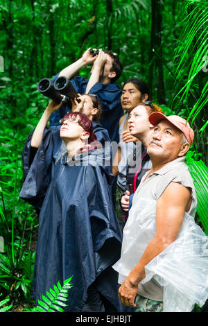 Gruppe von Touristen im ecuadorianischen Amazonas primäre Dschungel auf der Suche nach wilden Tieren mit nativer GUID Stockfoto