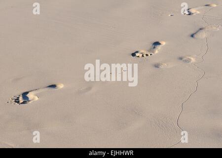 Fußspuren im Sand, Insel Praslin, Seychellen Stockfoto