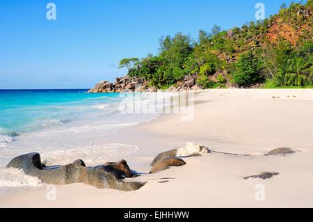 Anse Georgette Strand, Insel Praslin, Seychellen Stockfoto