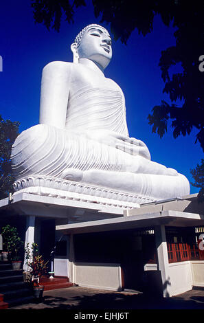 Große Buddhastatue in Kandy, Srilanka Stockfoto