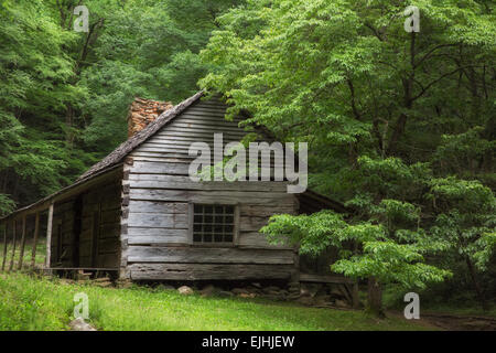 Noah "Knospe" Ogle Place in the Great Smoky Mountains National Park Stockfoto