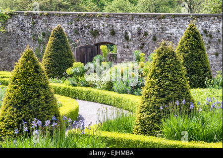 Aberglasney Haus und Garten, Carmarthen, Wales, UK. Der obere Walled Garten, entworfen von Penelope Hobhouse Stockfoto