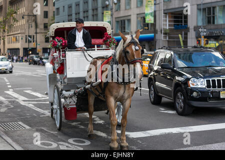 Weißes Pferd und Kutsche am Columbus Circle, New York City, USA Stockfoto