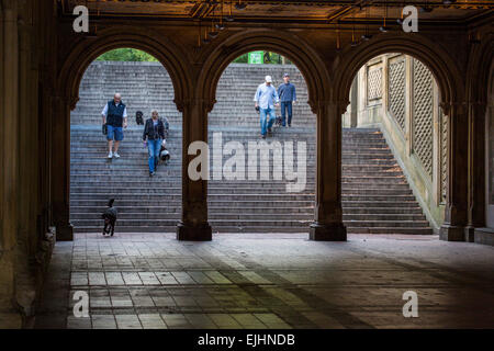 Menschen, die Hunde an der Bethesda Terrasse, Central Park, New York City, USA Stockfoto