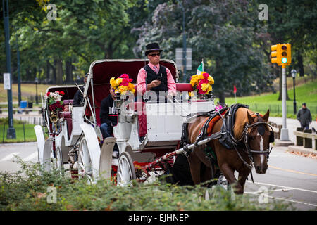 Pferd und Kutsche fahren im Central Park, New York, USA Stockfoto