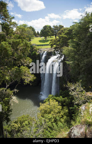 Whangarei Falls Im Landschaftsschutzgebiet Whangarei Bei Glenbervie, Nothland, Neuseeland, Neuseeland Stockfoto