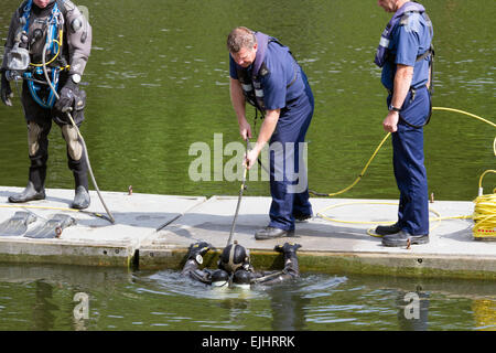 Taucher aus der Metropolitan Police Marine Support Unit helfen ein Kollege im Wasser während des Trainings ausüben. Stockfoto