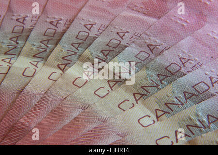 Kanadische Banknoten mit dem gleichen Wert auf dem Schreibtisch Stockfoto