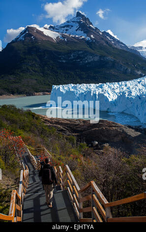 Fotograf zu Fuß über die Fußgängerbrücke. Perito Moreno-Gletscher. Nationalpark Los Glaciares. Patagonien. Argentinien Stockfoto