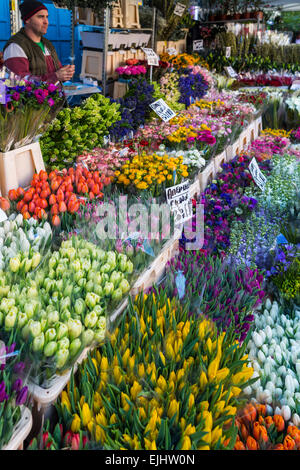 Stände und Blumen an der Columbia Road Flower Market, London, England Stockfoto