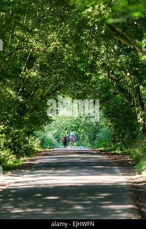 Um Mädchen reiten am Feldweg in der Nähe von Mottisfont, Hampshire, England Stockfoto