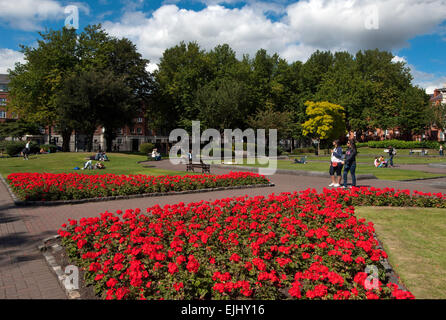 Der Park am St. Patricks Kathedrale, Dublin, Irland Stockfoto