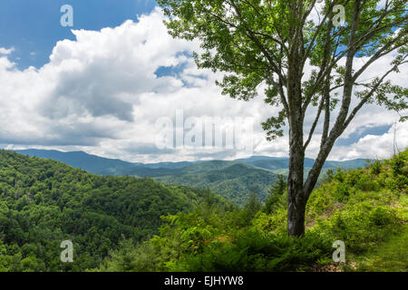 Great Smoky Mountains Nationalpark Stockfoto