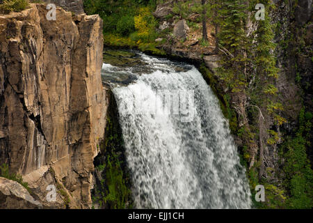 OR01772 - 00... OREGON - Tumalo fällt auf North Fork Bridge Creek im Deschutes National Forest in der Nähe von Bend. Stockfoto