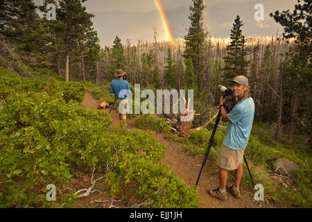 OR01788-00... OREGON - Fotografen auf dem Canyon Creek Trail in der Nähe von Jack Lake im Deschutes National Forest. Stockfoto