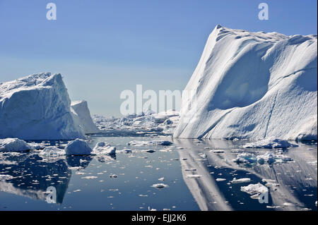 Riesige Eisberge gekalbt vom Jakobshavn Gletscher und nächtigen in der Eisfjord jahrelang. Stockfoto