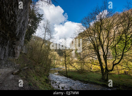 Dramatische Kalksteinklippe am Fluss Wye in Chee Dale bei Buxton, Peak District, Derbyshire. Stockfoto