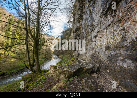 Dramatische Kalksteinfelsen am Ufer des Flusses Wye in Chee Dale, Derbyshire. Stockfoto