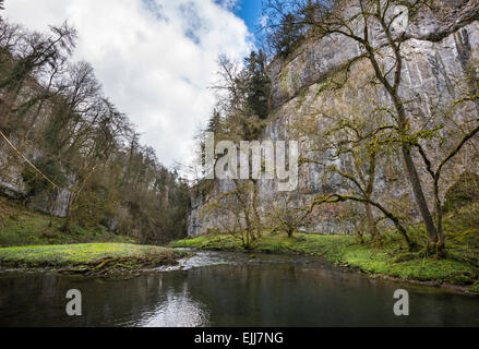 Chee Tor in Chee Dale, Derbyshire auf einen frühen Frühling. Stockfoto