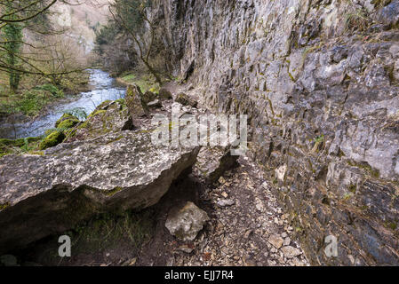 Dramatische Kalksteinfelsen über dem Fluss Wye in Chee Dale, Derbyshire. Stockfoto