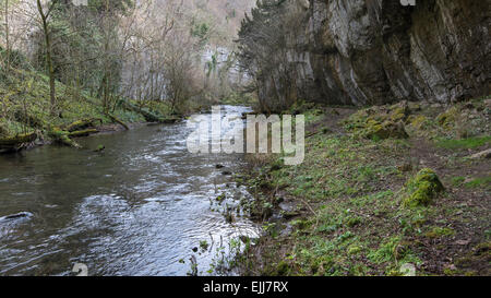 Dramatische Kalksteinfelsen über dem Fluss Wye in Chee Dale, Derbyshire. Stockfoto
