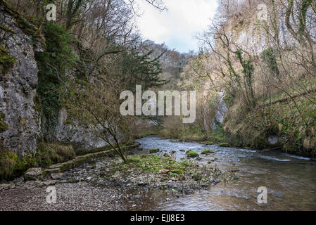 Trittsteine am Ufer des Flusses Wye in Chee Dale, Derbyshire. Ein beliebter Ort für Spaziergänge im Peak District. Stockfoto