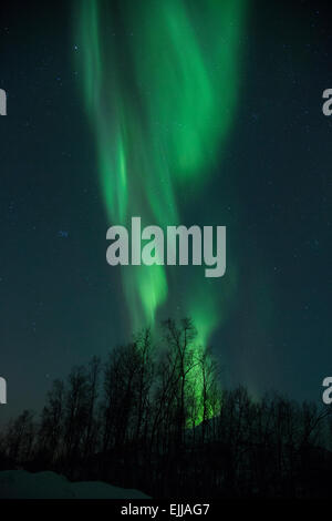 Das Nordlicht am Himmel oberhalb des Polarkreises in der Nähe von Tromsø, Norwegen Stockfoto