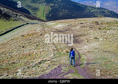 Eine junge weibliche Walker auf die Pentland Hills in der Nähe von Edinburgh - absteigender Carnethy Hill und verbrühen Gesetz auf Richtung. Stockfoto