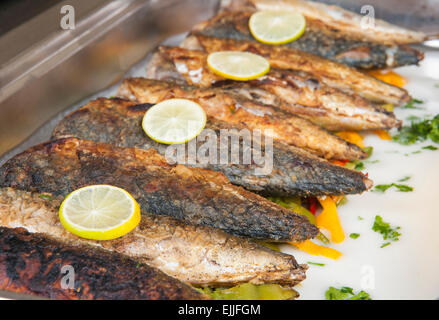 Reihe von gegrillte Makrele Fisch mit Zitrone auf dem Display in einem Hotel-Restaurant-buffet Stockfoto