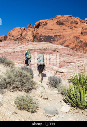 Kletterer Wandern mit Getriebe am Red Rock Canyon National Conservation Area, ungefähr 20 Meilen von Las Vegas; Kletterer in Ferne Stockfoto