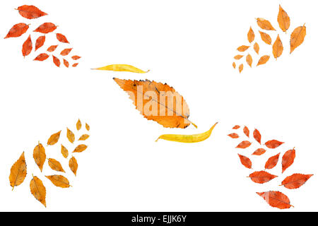Herbst Herbstlaub Sammlung isoliert. Stockfoto