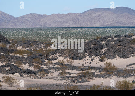 Blick auf Wüste Stock, Blick nach Osten von Amboy Kalifornien. Stockfoto