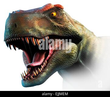 Tyrannosaurus Rex-Kopf zu studieren. Dieser Dinosaurier lebte von bis vor etwa 70 Millionen Jahren in Nordamerika und Asien die Stockfoto