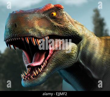 Tyrannosaurus Rex-Kopf zu studieren. Dieser Dinosaurier lebte von bis vor etwa 70 Millionen Jahren in Nordamerika und Asien die Stockfoto