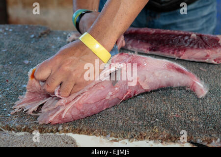 Thyrsites Atun (auch genannt Snoek) für den Verkauf vorbereitet. Stockfoto