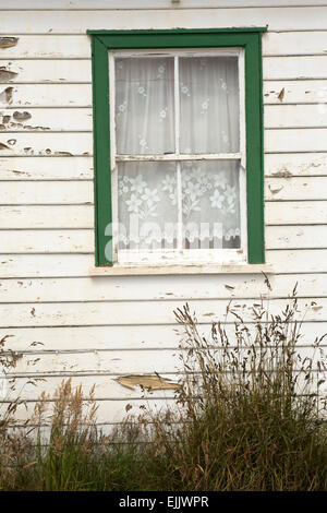 Falkland-Inseln, Port Stanley, Allardyce Street, Peeling gemalt Fenster der Wetherboarded Hütte Stockfoto