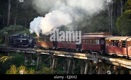 Puffing Billy durch Monbulk Creek Trestle Bridge vorbei Stockfoto