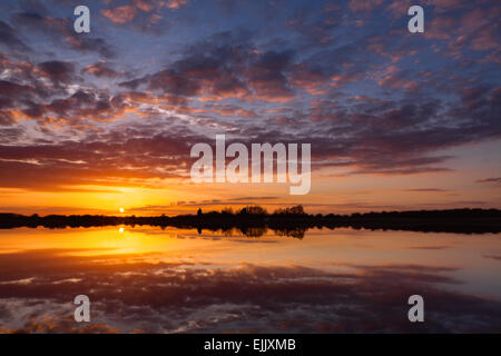 Weit Ings National Nature Reserve, North Lincolnshire, UK. 27. März 2015. Sonnenuntergang über der weit Ings National Nature Reserve in North Lincolnshire, Großbritannien. Die Reserve wird von Lincolnshire Wildlife Trust verwaltet. 27. März 2015. Bildnachweis: LEE BEEL/Alamy Live-Nachrichten Stockfoto