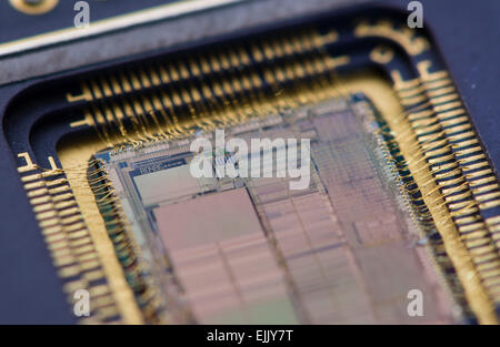 Nahaufnahme von einem geöffneten Intel 80486DX (i486) Mikroprozessor, eine der beliebtesten CPUs für PCs in den 90er Jahren. Stockfoto