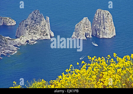 Capri, Italien, Mittelmeer, Europa; Faraglioni-Stacks, vom Monte Solaro, Stockfoto