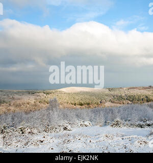 Blick vom Schloss Ring über Cannock Chase Wald in einer Winterlandschaft mit Schnee und Frost auf Cannock Chase AONB Stockfoto