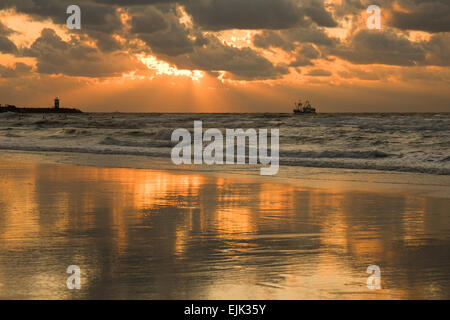 Goldenen Strand bei Sonnenuntergang in den Niederlanden Stockfoto