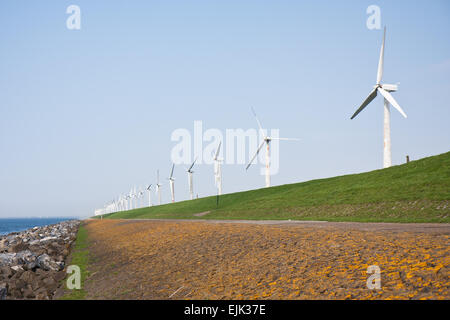 Windmühlen in der Nähe von dem Meer entlang einem holländischen Deich Stockfoto