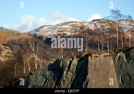 Birken wachsen auf oberen Schiefer-Steinbruch am östlichen Ende von The Great Langdale Valley im Winter Lake District National Park Stockfoto