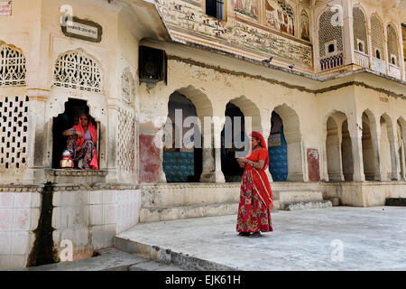 Affentempel (Galwar Bagh), Jaipur Indien Stockfoto