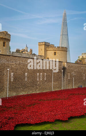 Tower of London, die Scherbe und einige der 888.000 roten Mohnblumen anlässlich 100 Jahre vom Beginn des ersten Weltkrieges, London, England Stockfoto