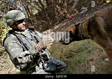 Bagdad - Malbern, Arche, Native und Air Force Staff Sgt Jacob Holm, eine militärische Gebrauchshund Handler angehängt, 2. Zug, Company C, 1. Bataillon, 64. Armor Regiment, 2nd Brigade Combat Team, 3. Infanterie-Division, spielt Tauziehen mit Zasko, nachdem seine vierbeinigen Begleiter hausgemachten Explosive Materialien versteckt vor einem verlassenen Gebäude während einer Patrouille der westlichen Bagdad Aug 2 identifiziert. Zasko behandelt die Suche als die Zuneigung Holm und die Zeit mit seinem Kong, ein typisches Haustier Spielzeug zu gewinnen.  SPC. l.b. Edgar, 7. Mobile Public-Affairs-Abteilung Stockfoto