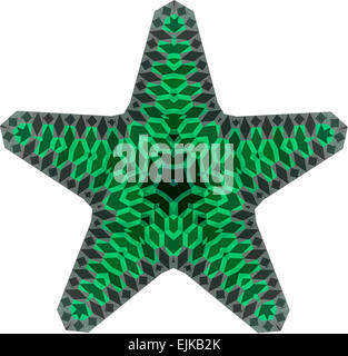 Ein Seestern in grün- und Graustufen Stockfoto